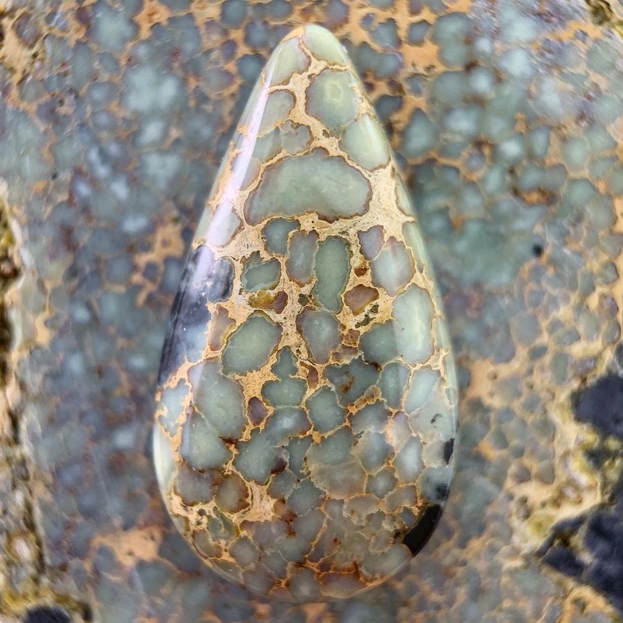 Polished variscite cabochon from the Agua Oro mine, Nevada