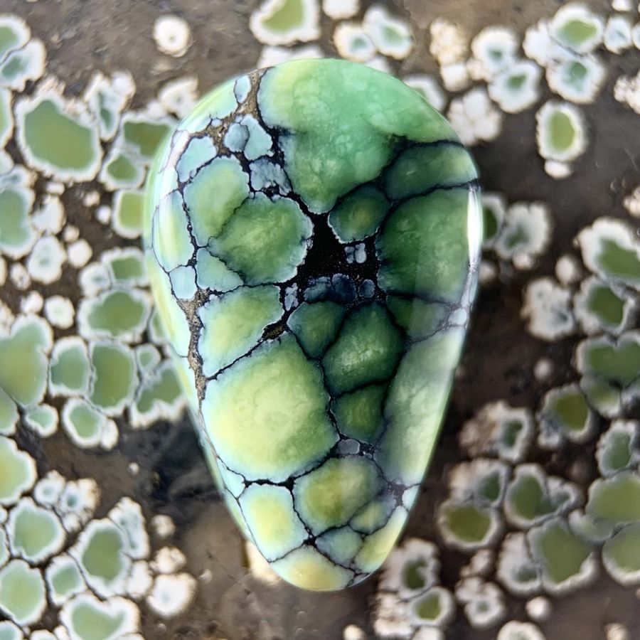 Polished variscite cabochon from the Colina Verde mine, Nevada