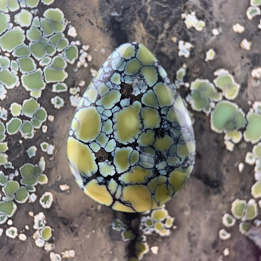 Polished variscite cabochon from the Colina Verde mine, Nevada