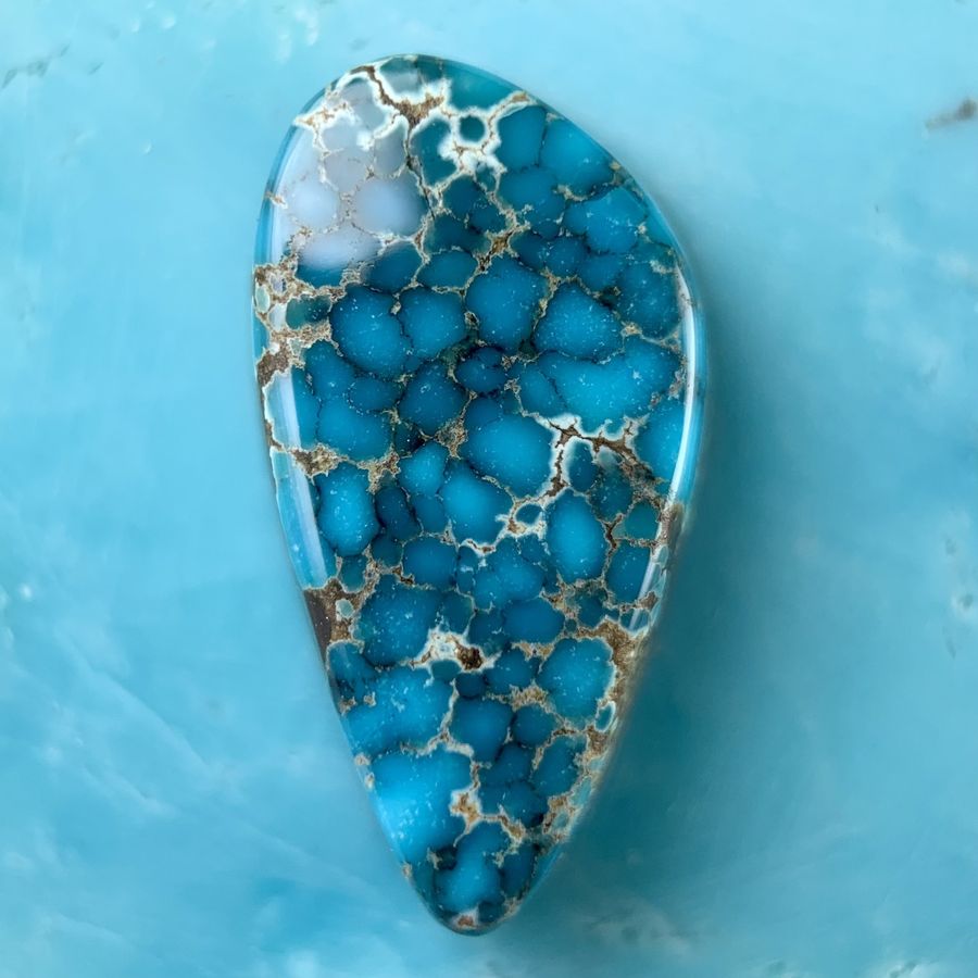Polished turquoise cabochon from the Little Cristo mine, Nevada