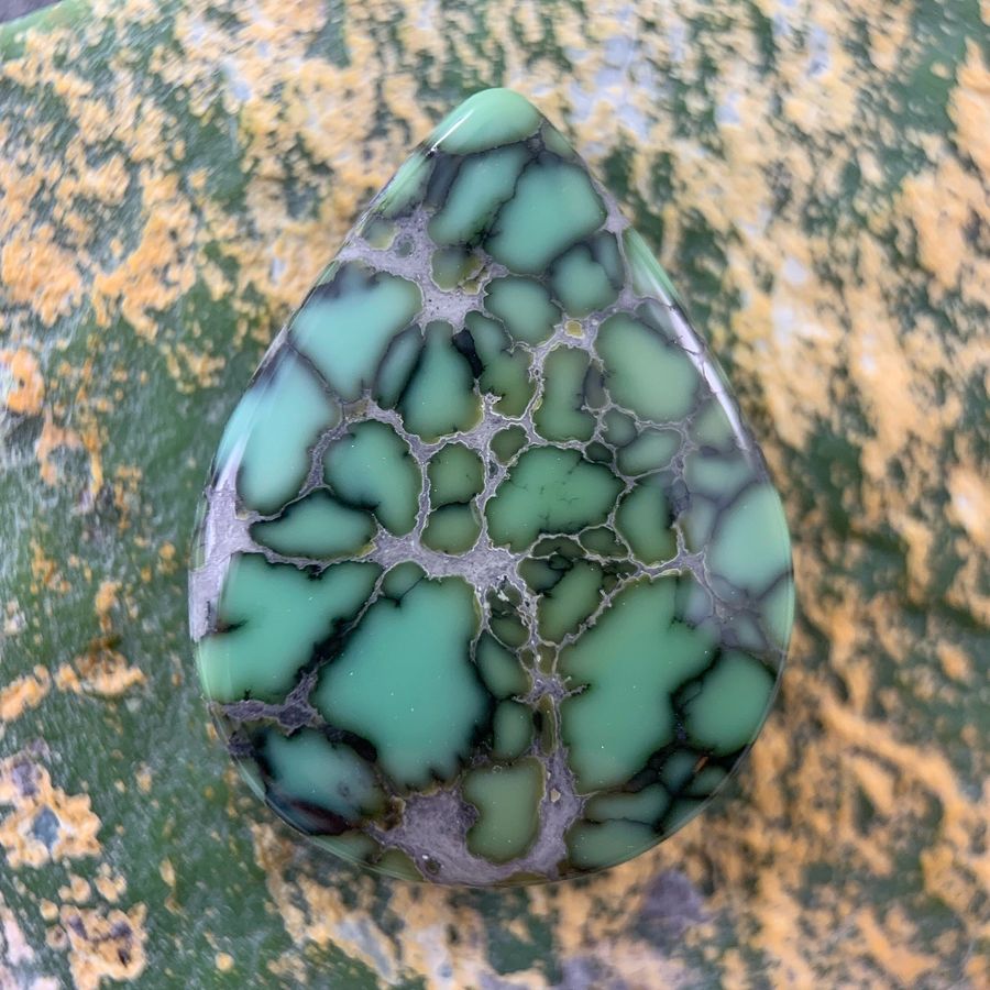 Polished variscite cabochon from the Nautilus mine, Nevada