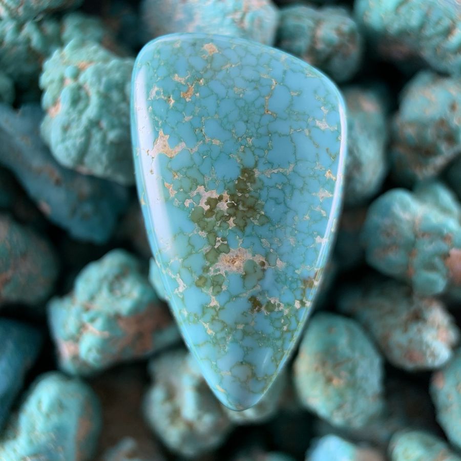 Polished turquoise cabochon from the Toquima mine, Nevada