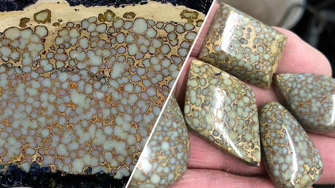 Agua Oro spiderweb variscite in cream and tan, Esmeralda County, Nevada