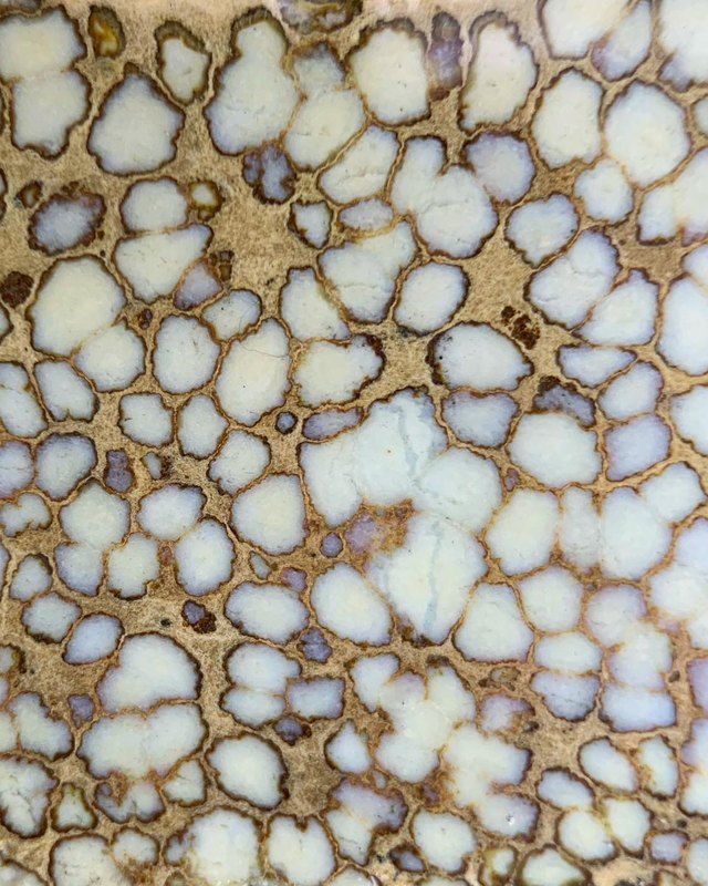 Agua Oro spiderweb variscite in cream and tan, Esmeralda County, Nevada