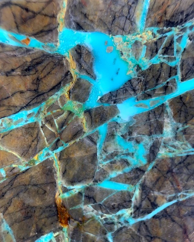 Blue Boy neon blue ribbon turquoise in brown and black chert, Lander County, Nevada