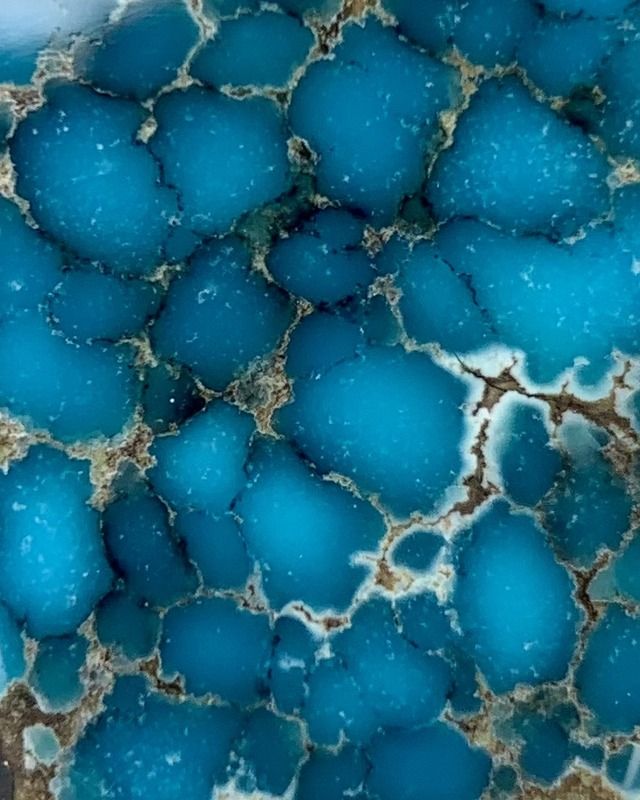 Little Cristo turquoise cabochons with spiderweb matrix, Esmeralda County, Nevada